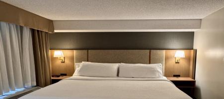 Holiday Inn & Suites London
